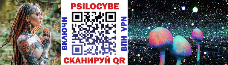купить наркотик  Николаевск  Псилоцибиновые грибы Magic Shrooms 